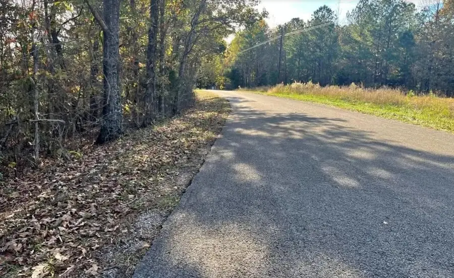 5030 Sand Mountain Rd, Enville, TN 38332 - #2