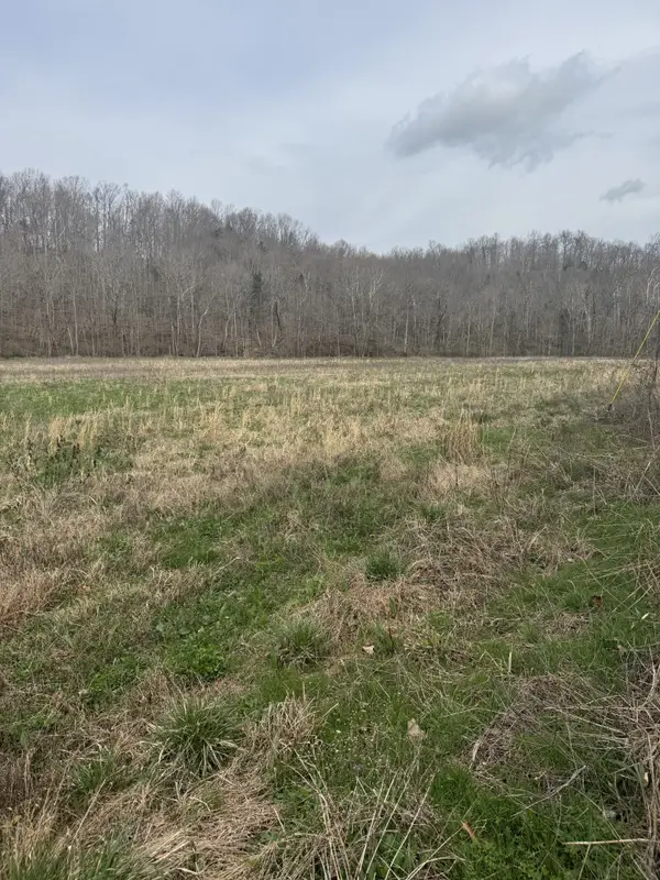 1234 Puncheon Creek Road, Lafayette, TN 37083