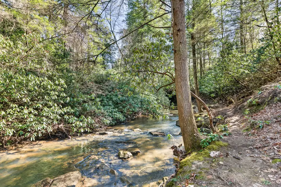 1335 Laurel Way, Monterey, TN 38574 - #3