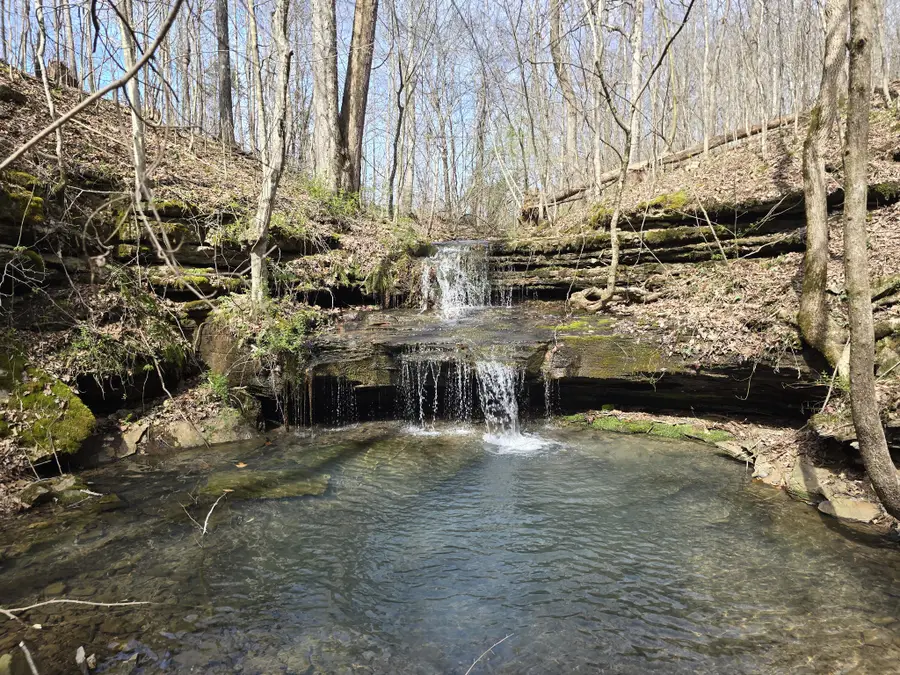 1125 Rose Hill Rd, Pulaski, TN 38478 - #2