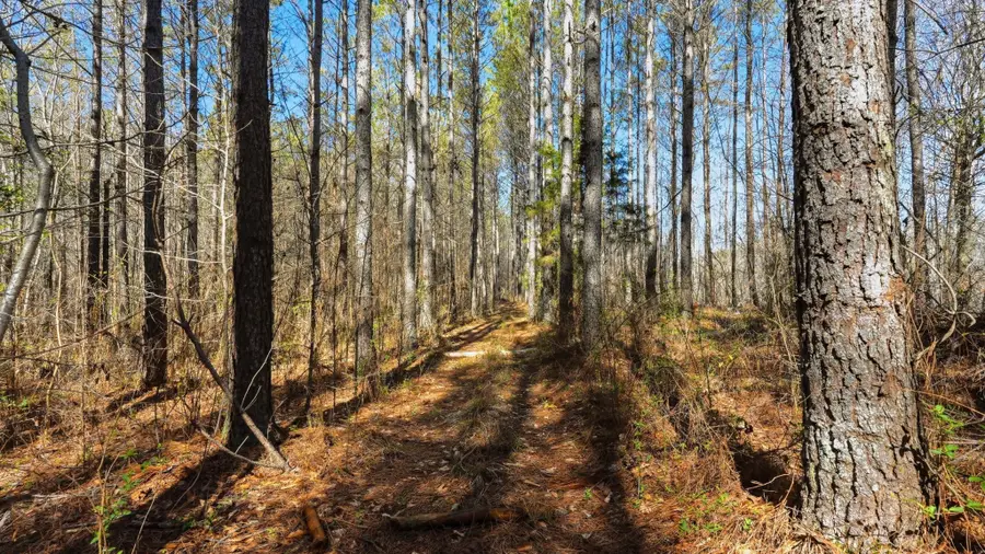 0 Fowler Rd, Beech Bluff, TN 38313 - #2