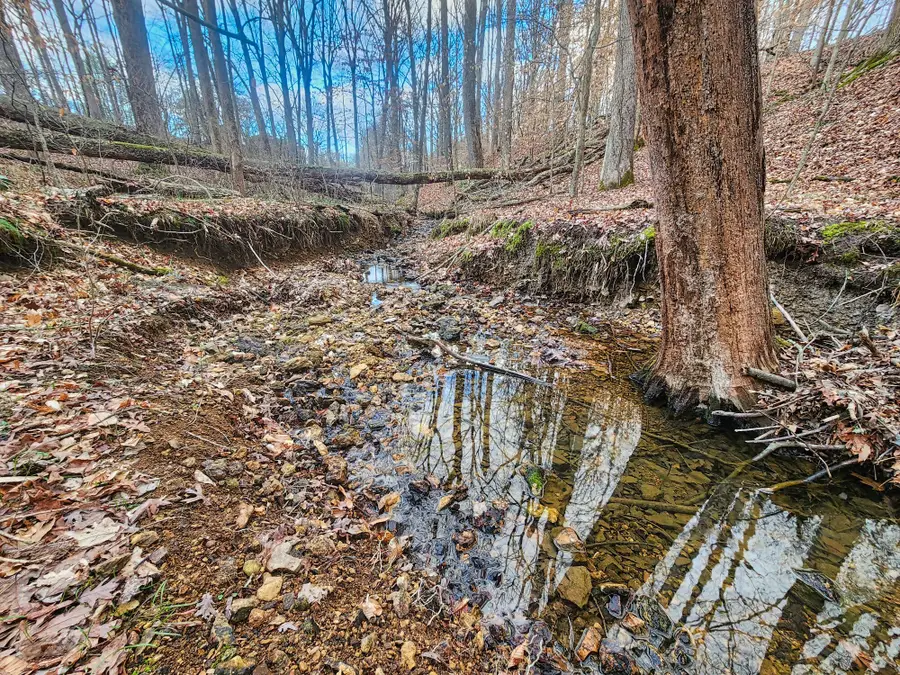 932 Hayes Rd, Lawrenceburg, TN 38464 - #2