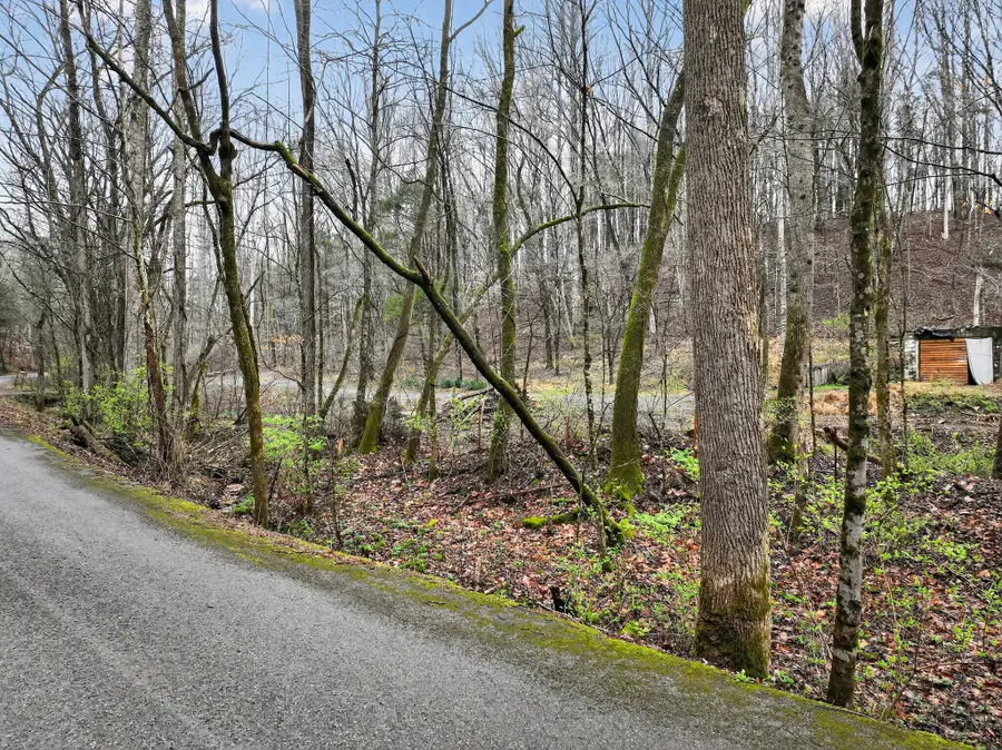 627 Stewart Hollow Rd, Lynchburg, TN 37352 - #3