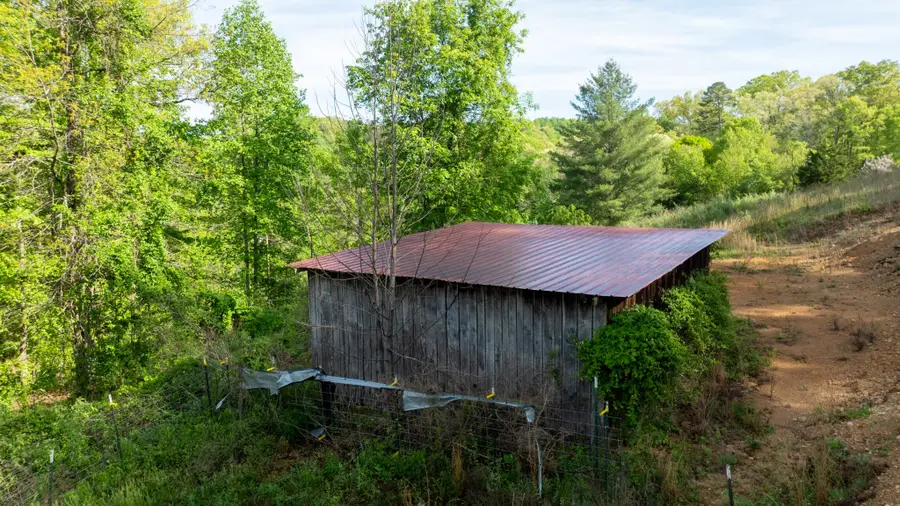 120 Huckleberry Ln, Rocky Top, TN 37769 - #3