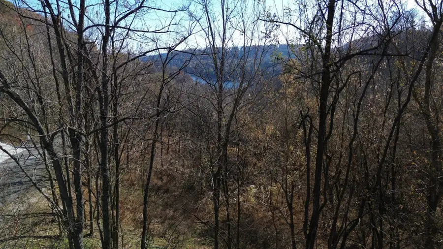 85 Blackberry Ridge Way, Smithville, TN 37166 - #2