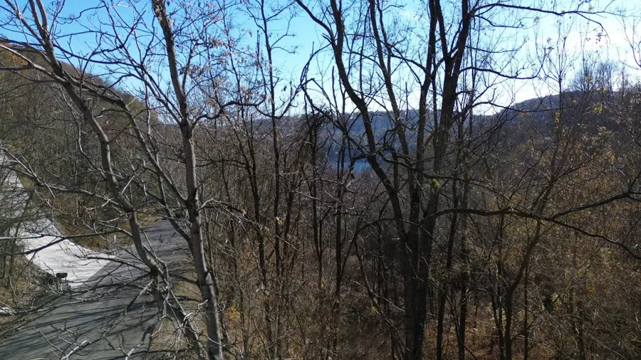 86 Blackberry Ridge Way, Smithville, TN 37166 - #3