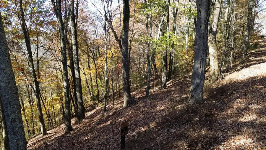 0 Savannah Dr, Smithville, TN 37166 - #2