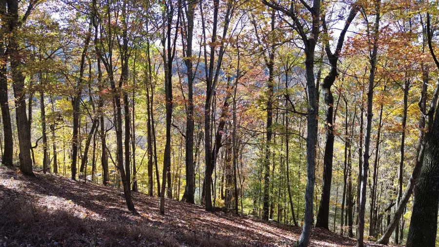 0 Savannah Dr, Smithville, TN 37166 - #3