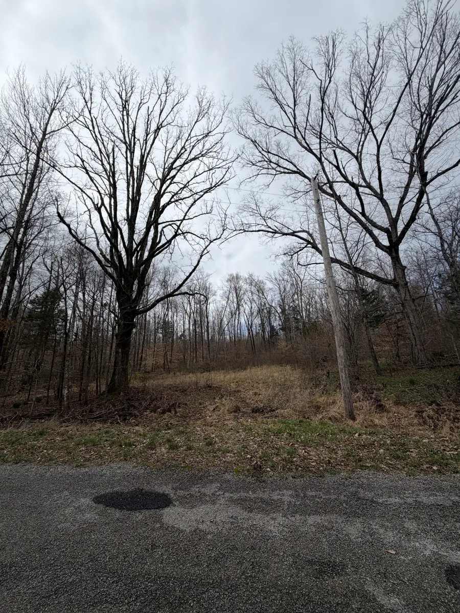 0 Highway Coxburg Rd S, Holladay, TN 38341 - #2