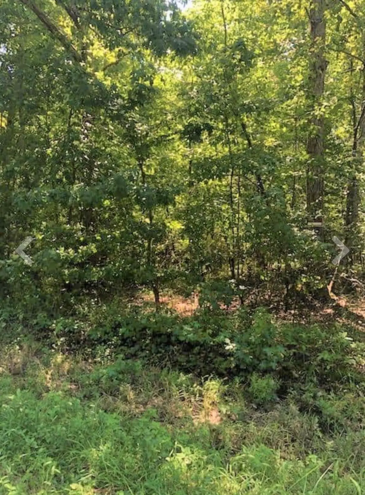 0 Sunset Drive, Manchester, TN 37355 - #1