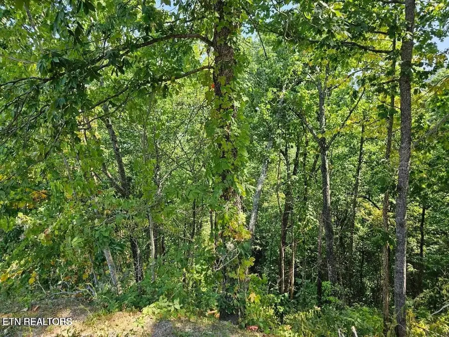 13 Villa Ridge Place, Sevierville, TN 37862 - #3