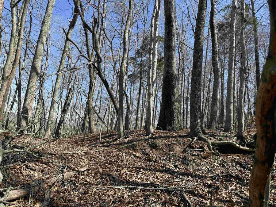 0 Poplar Springs Rd, Savannah, TN 38372 - #3