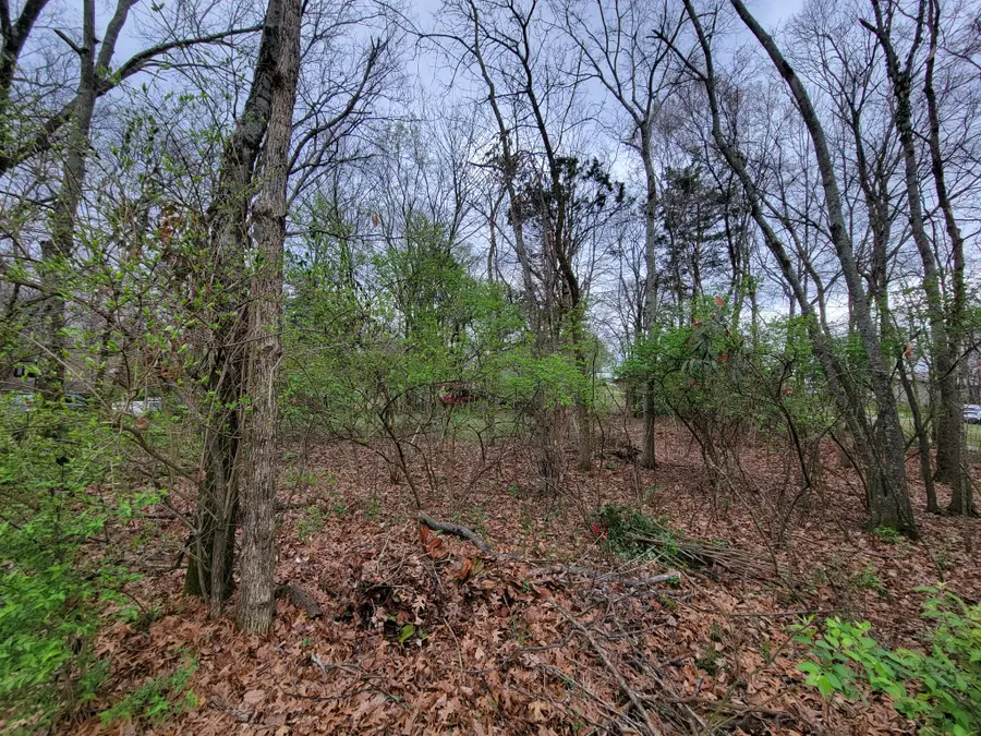 0 Long View Dr, Mount Juliet, TN 37122 - #2