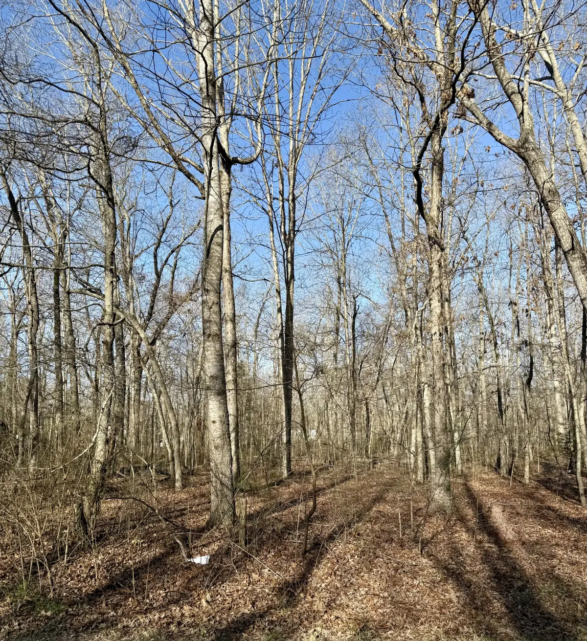 0 Antietam Rd, Beechgrove, TN 37018 - #1