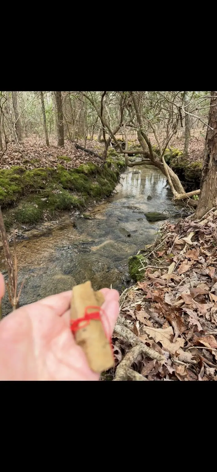 72 Lady Slipper Lane, Monteagle, TN 37356 - #2