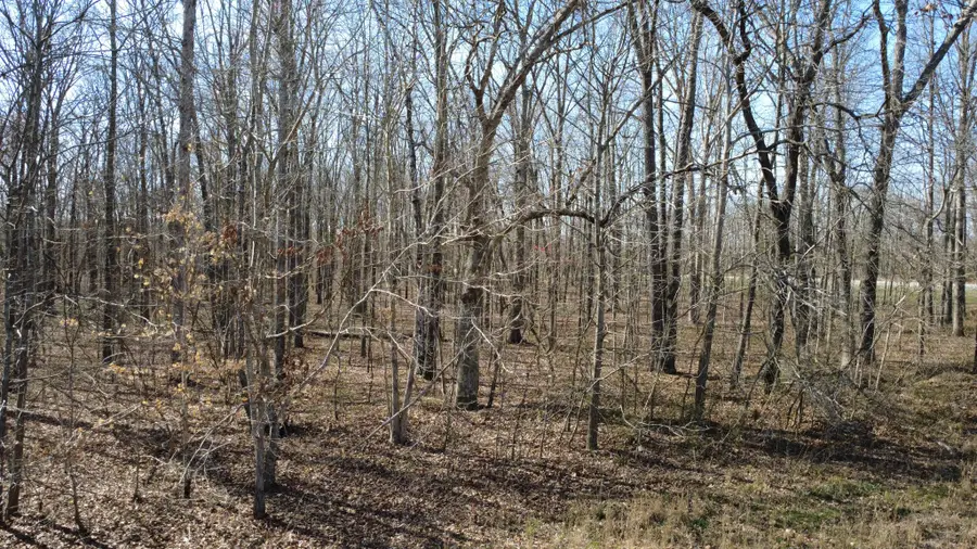 0 Summertown Hwy, Summertown, TN 38483 - #3