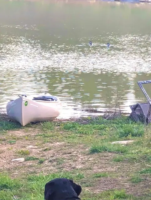 340 Booneville Rd, Fayetteville, TN 37334 - #3