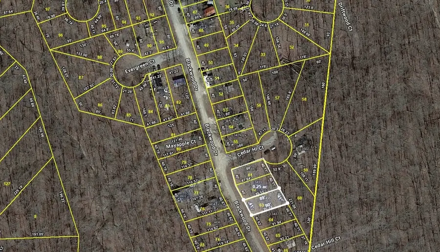 3433 Blackwood Dr, Nunnelly, TN 37137 - #2