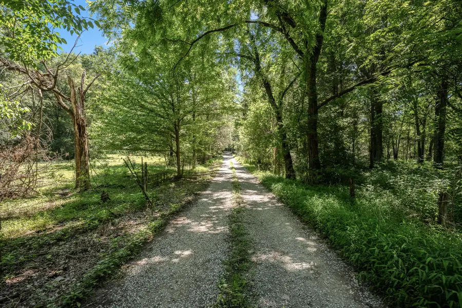 505 Philippi Rd, Wartrace, TN 37183 - #2