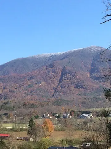 3702 Wears Valley Rd, Sevierville, TN 37862 - #2