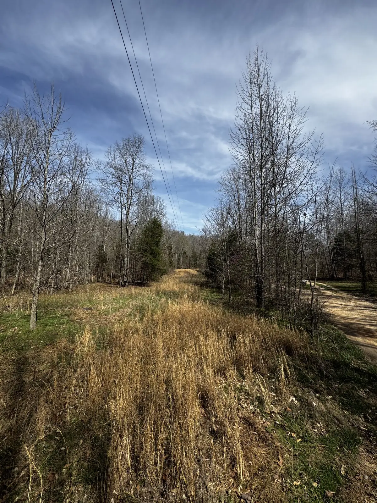 301 Bobcat Rd, Linden, TN 37096 - #1