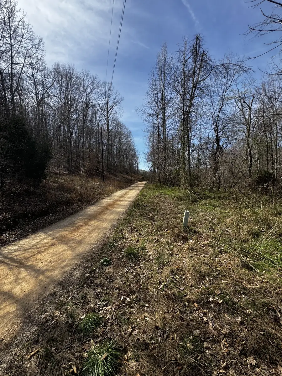 301 Bobcat Rd, Linden, TN 37096 - #3