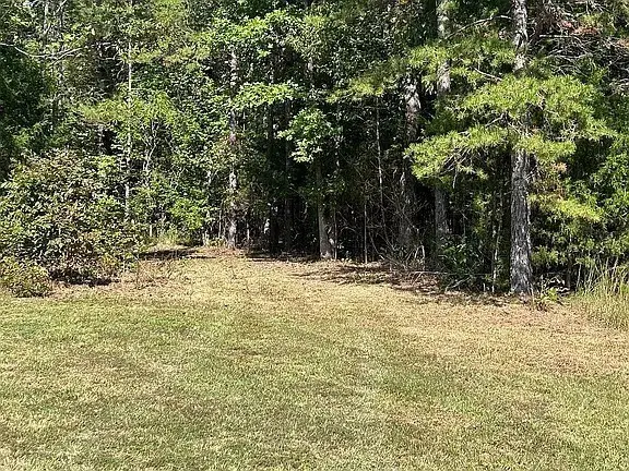 9100 Urubamba Dr, Lyles, TN 37098 - #2