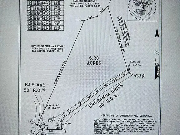 9100 Urubamba Dr, Lyles, TN 37098 - #3