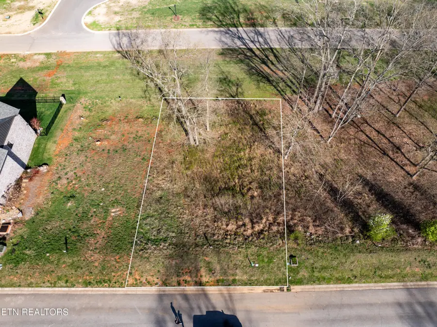 967 Black Cove Lane, Loudon, TN 37774 - #2