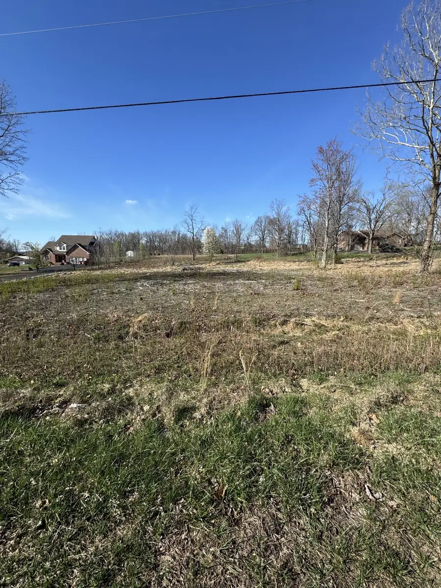 116 Angela Ln, Westmoreland, TN 37186 - #3