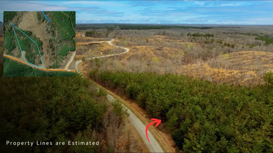 8072 Old Hohenwald Rd, Linden, TN 37096 - #3