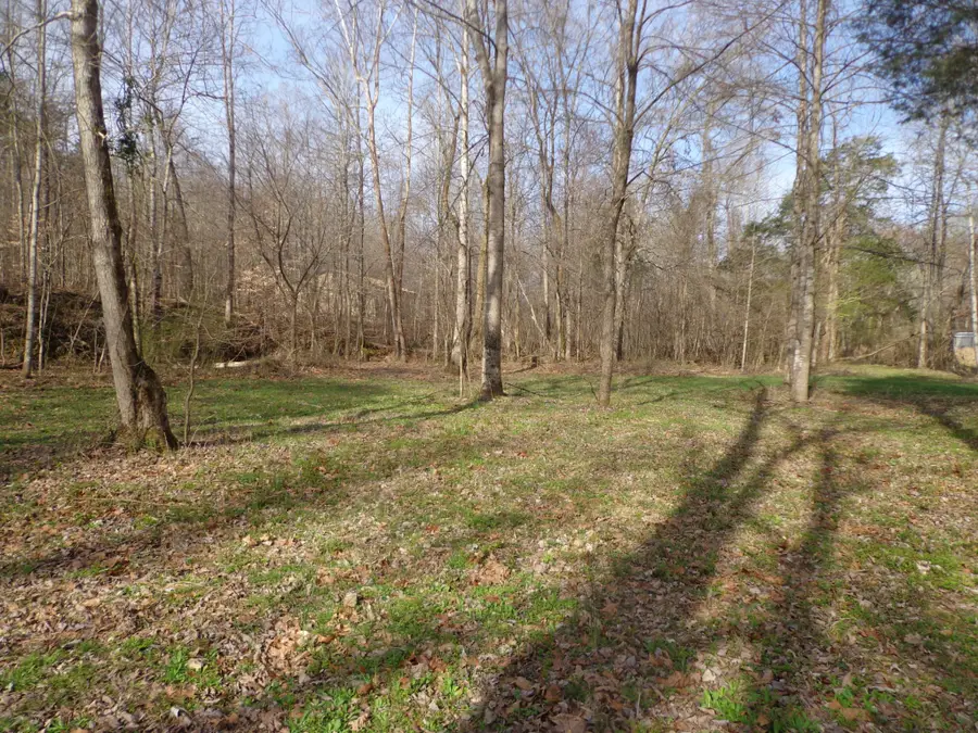 0 Ennis Branch Road, McEwen, TN 37101 - #3