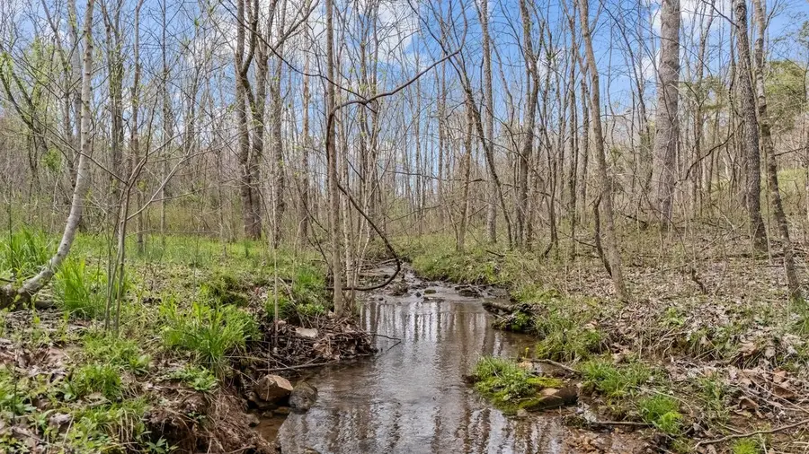 6455 Highway 48 N, Cumberland Furnace, TN 37051 - #2