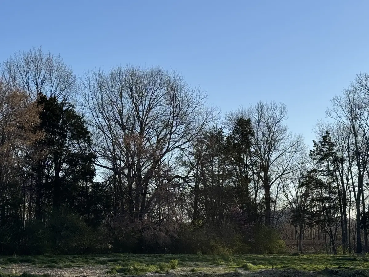 4030 Trinity Rd, Franklin, TN 37067 - #1