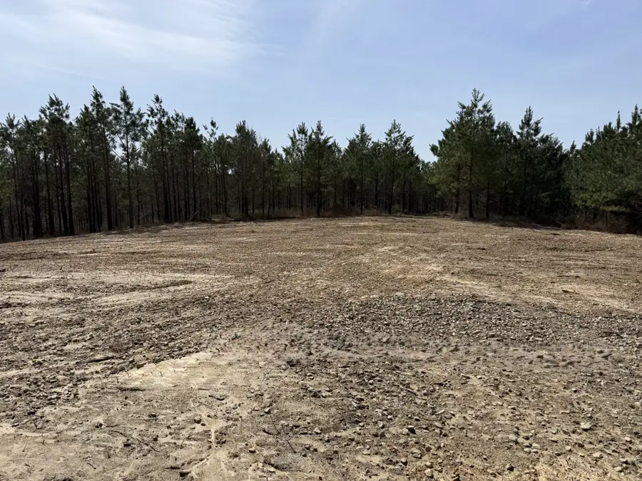 0 Hwy 231, Erin, TN 37061 - #2