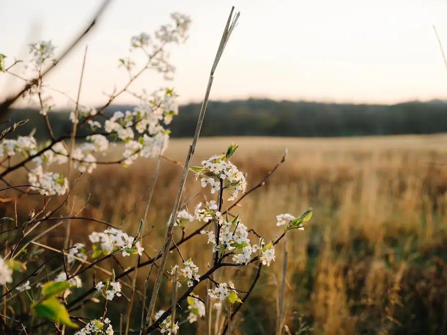 2430 Santa Fe Pike, Columbia, TN 38401 - #3