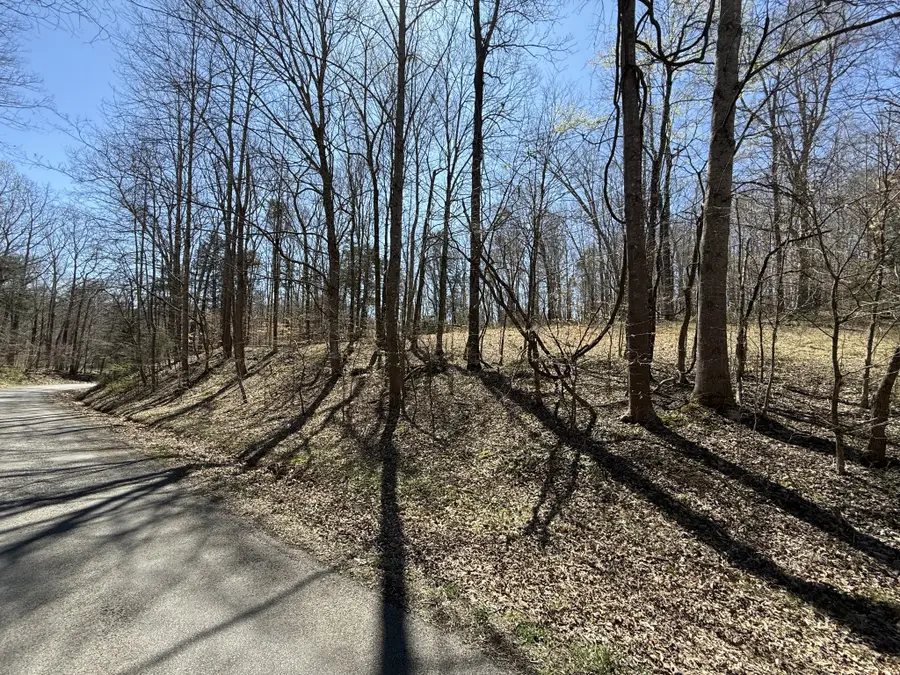 0 Brigham Branch Rd, Erin, TN 37061 - #3