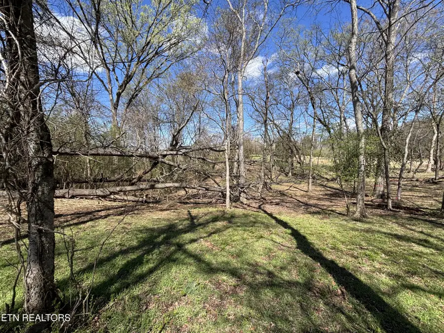 0 E Shore Drive, Rockwood, TN 37854 - #3