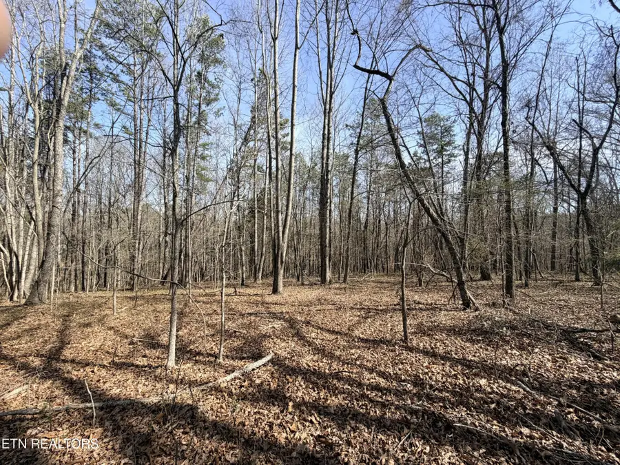 0 Montview Rd, Lenoir City, TN 37771 - #3