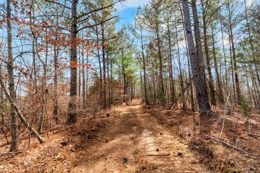 0 Jay Hutchings Road, Sparta, TN 38583 - #3