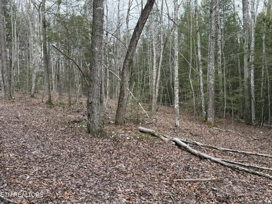 0 Northwood Place, Jamestown, TN 38556 - #3