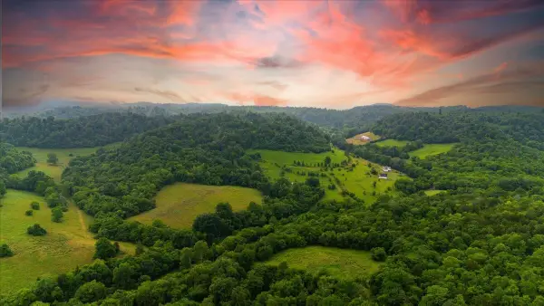 0 Opossum Paw Road, Beechgrove, TN 37018