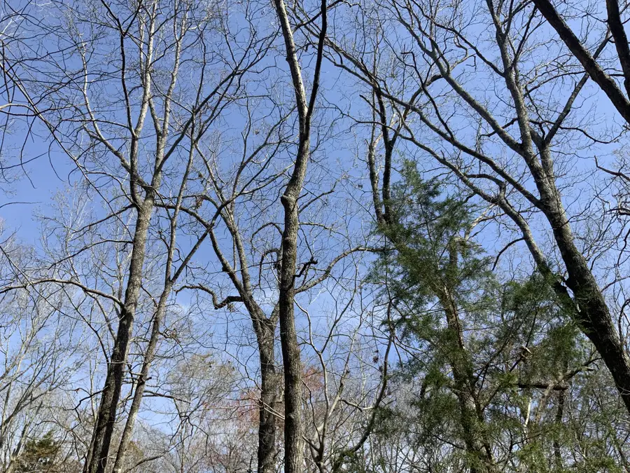 0 Brittany Lane, Lexington, TN 38351 - #3