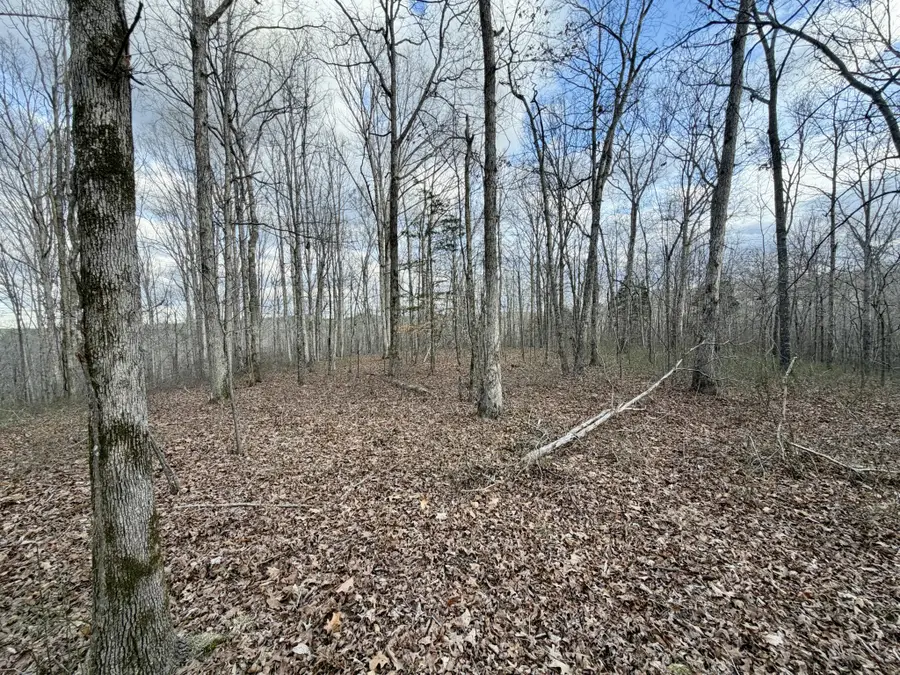 1 Three Rivers Dr, Hurricane Mills, TN 37078 - #3