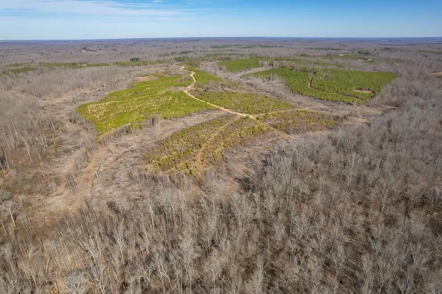 0 Haglersville Rd, Mansfield, TN 38236 - #3