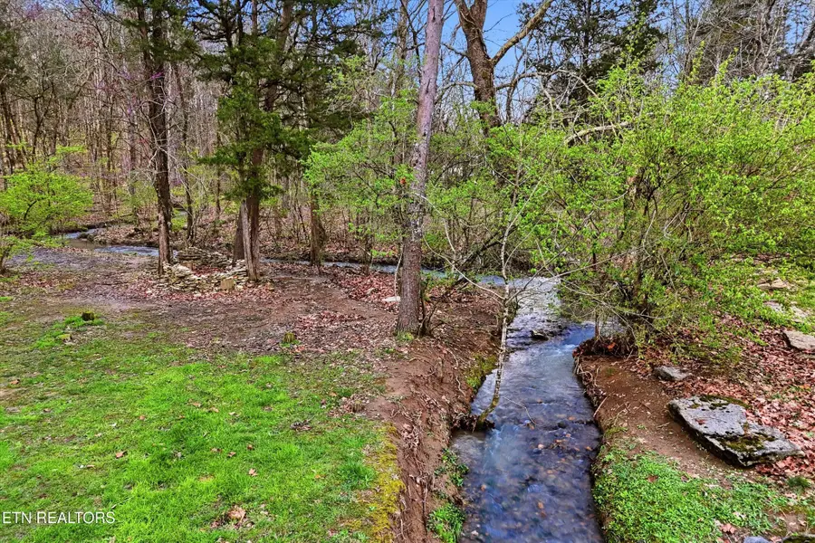 842 E Raccoon Valley Drive, Heiskell, TN 37754 - #3