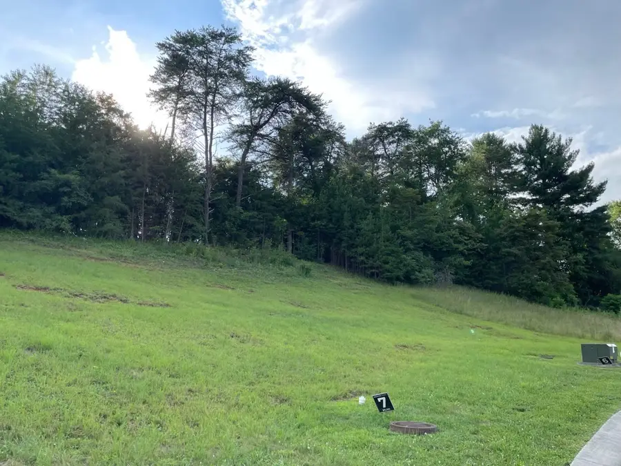 154 Brighton Pl, Bristol, TN 37620 - #3