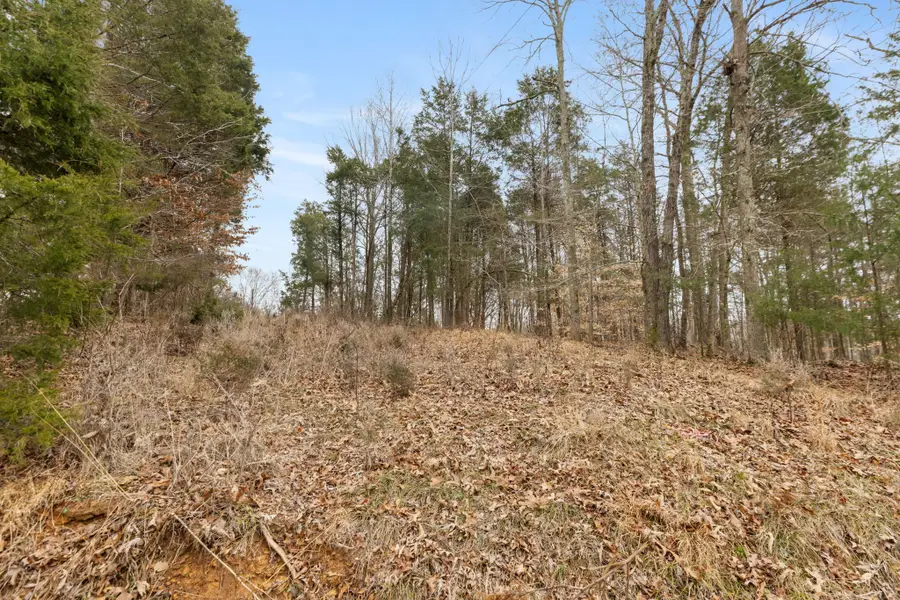 0 Griffintown Road, White Bluff, TN 37187 - #2