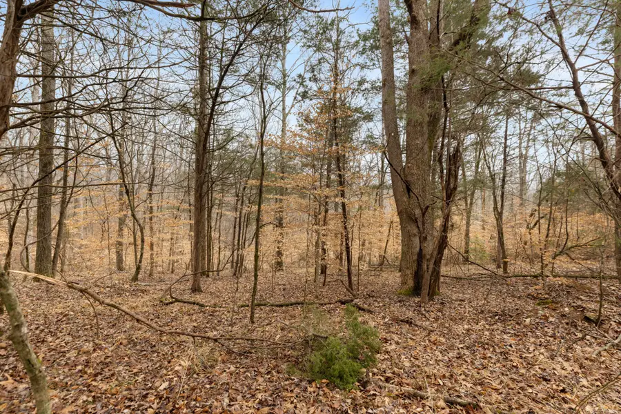 0 Griffintown Road, White Bluff, TN 37187 - #2