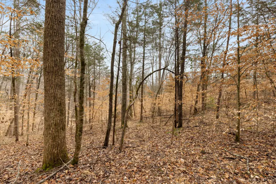 0 Griffintown Road, White Bluff, TN 37187 - #3